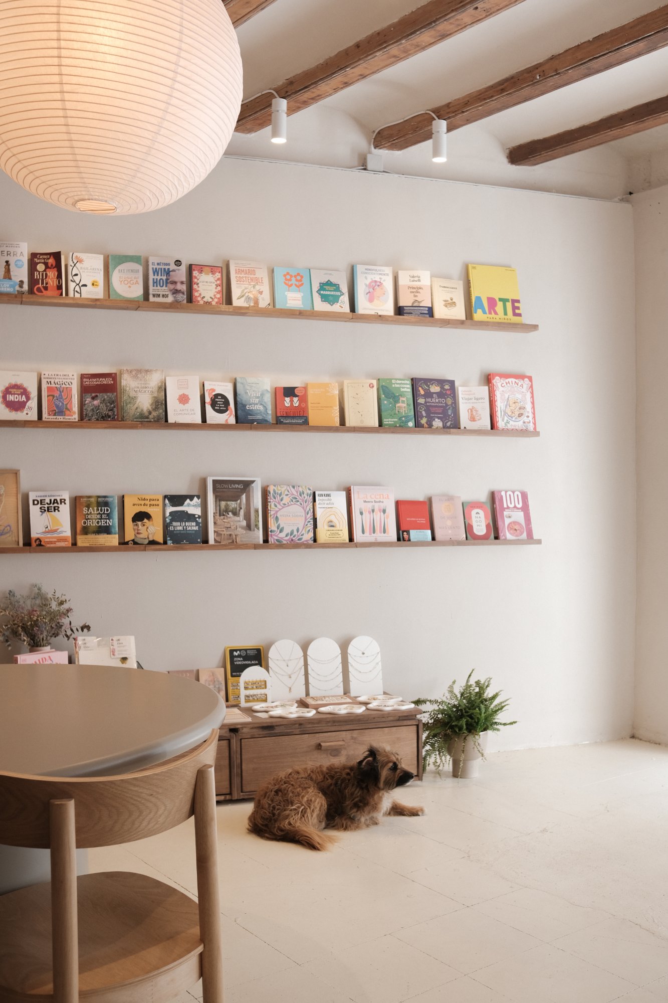 Librería casa lenta