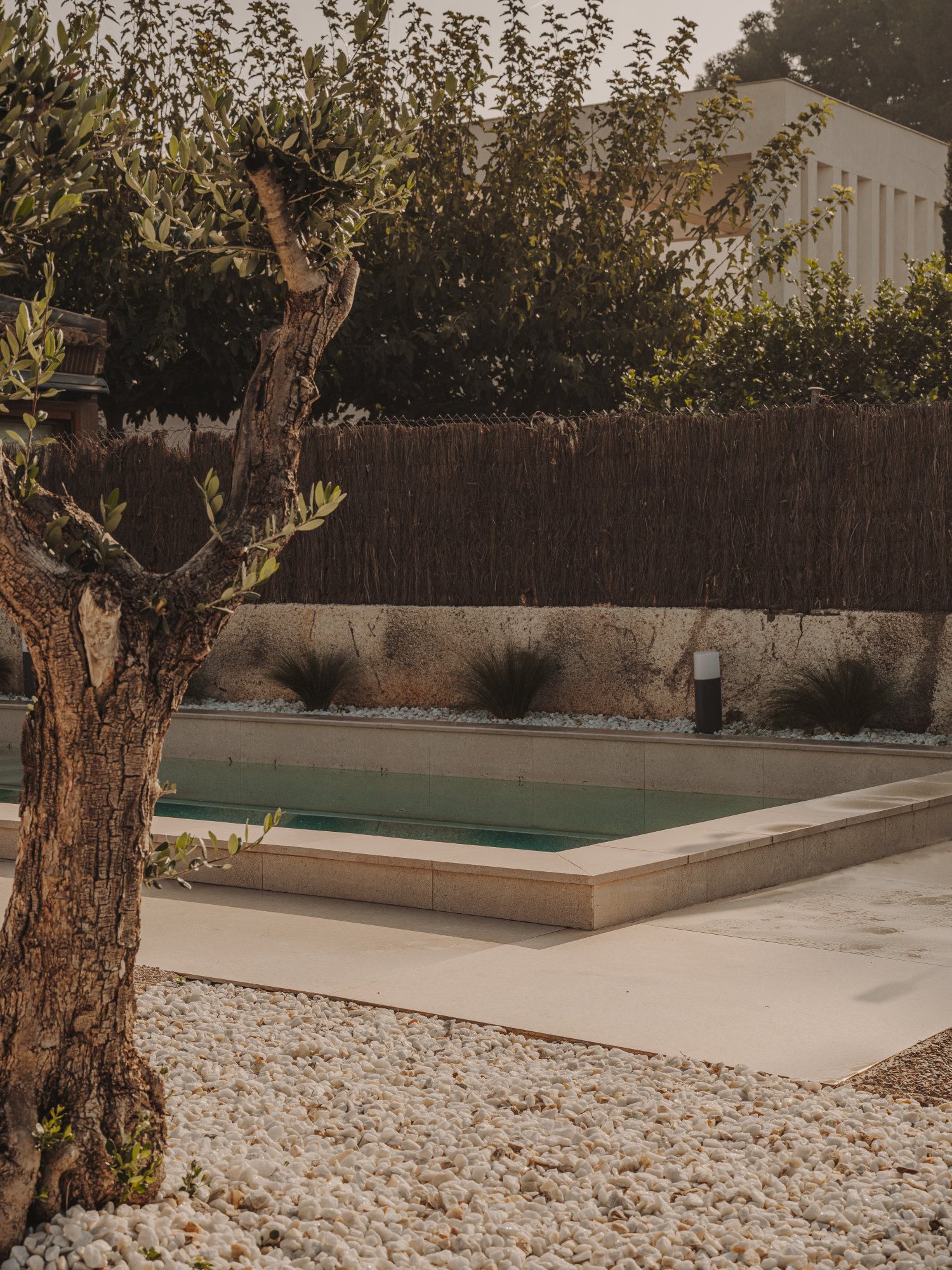Piscina en patio con vegetación